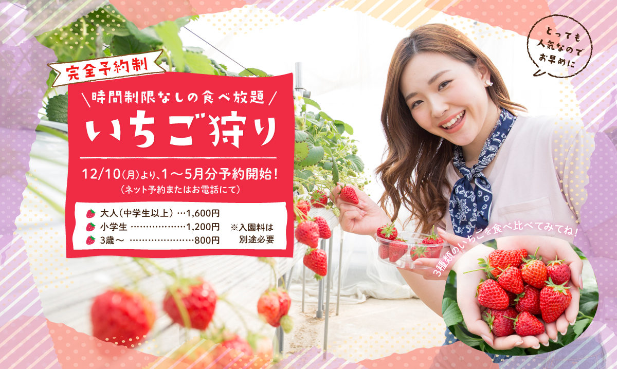 ハーベストの丘 イチゴ狩り 運転手 日本の無料ブログ