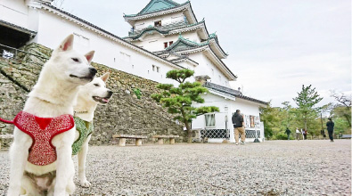 施設写真